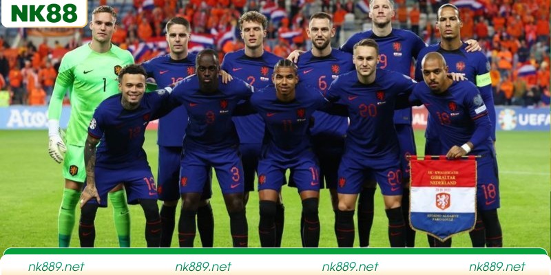 Đánh giá phong độ và biến động tỷ lệ