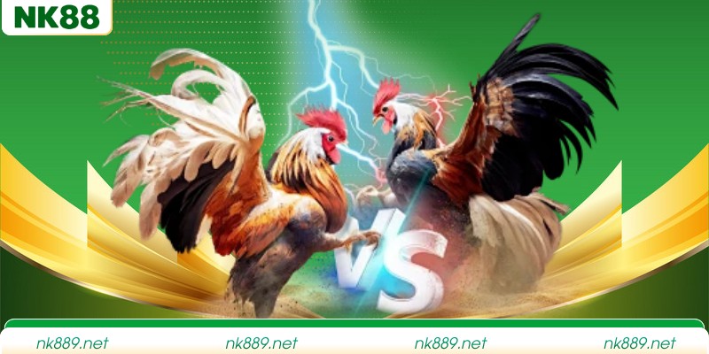 Gợi ý theo dõi trận đấu khoa học