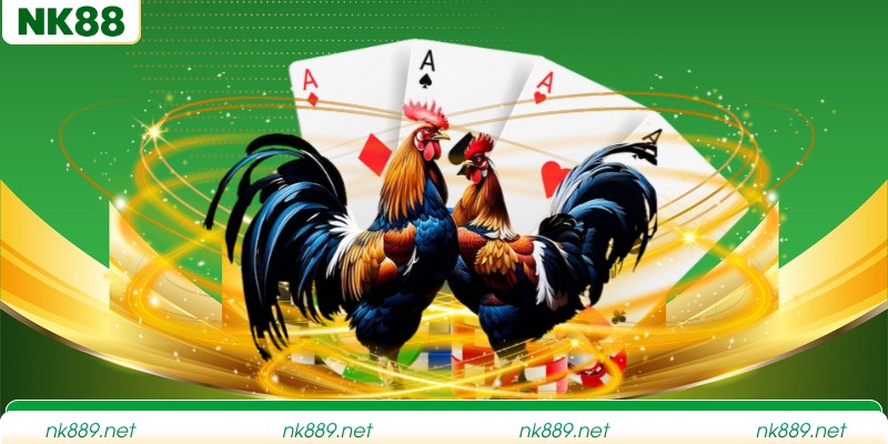 Những lựa chọn cá cược gà chọi hấp dẫn